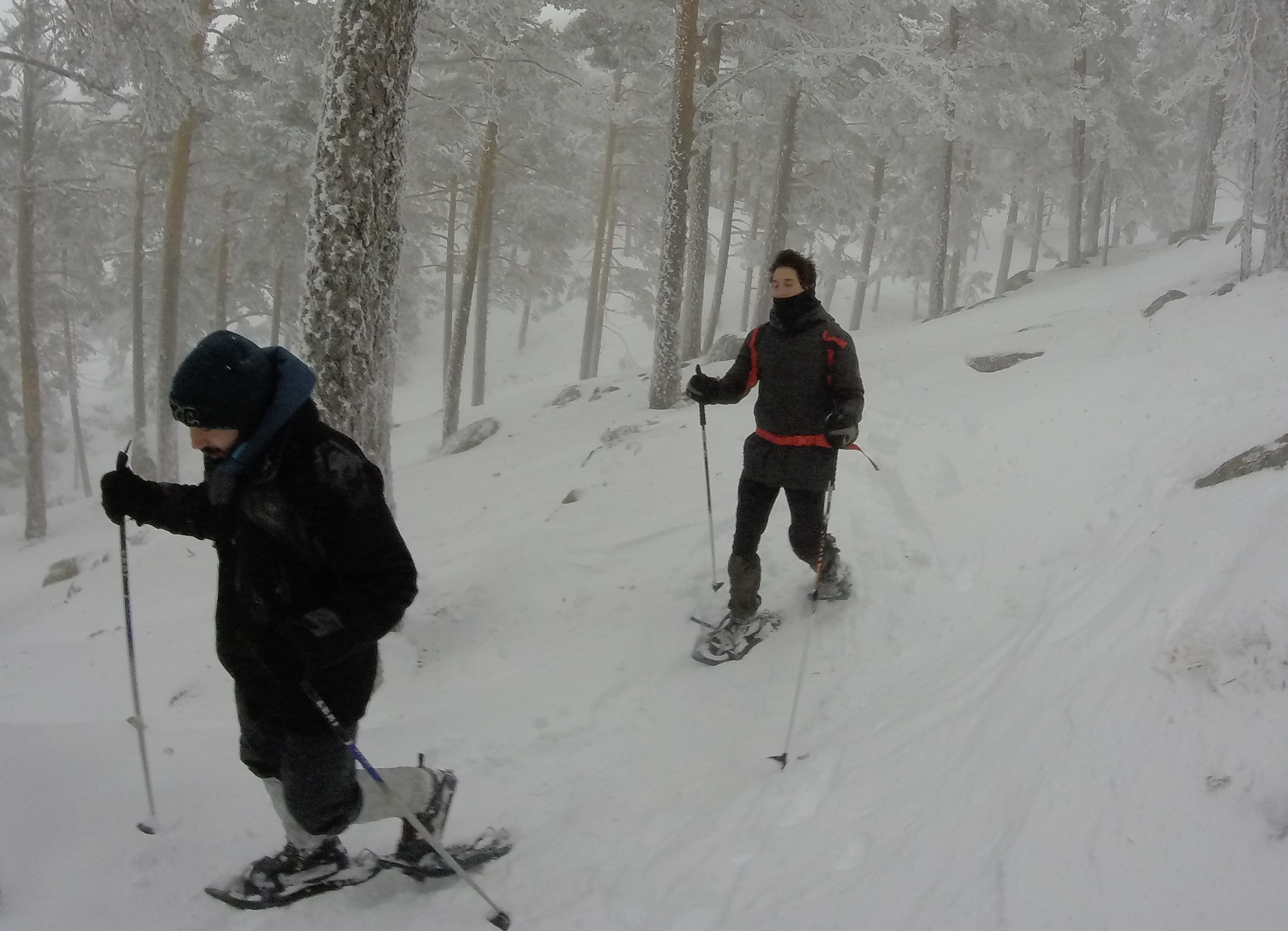 Raquetas de nieve en Madrid