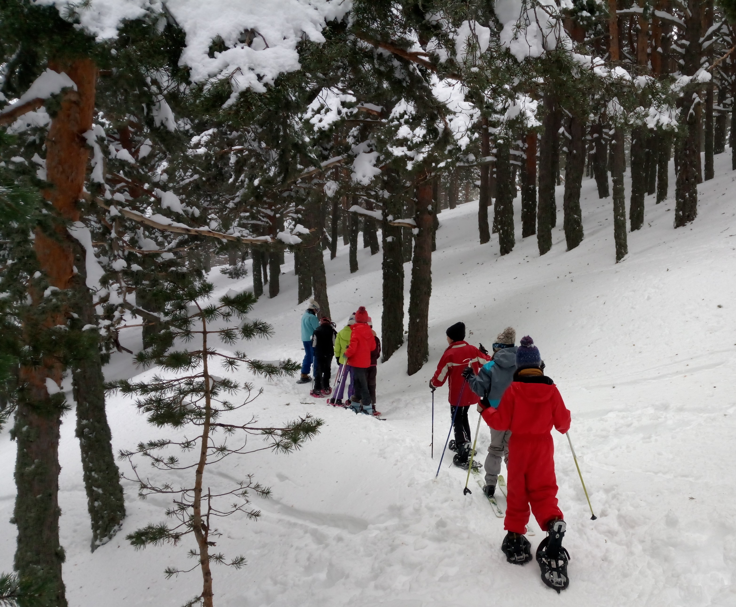 Ruta con raquetas de nieve